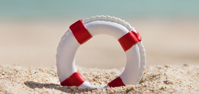 useful description of image if informative and not decoration only.