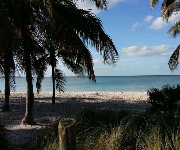 Крандън Бийч на Кий Бискейн във Флорида, палми и море