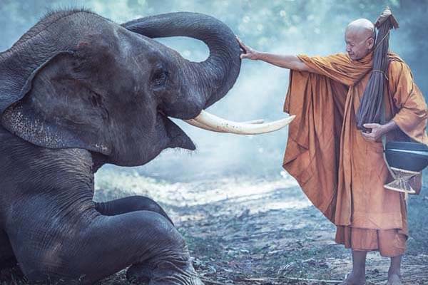 Будистки монах със слон