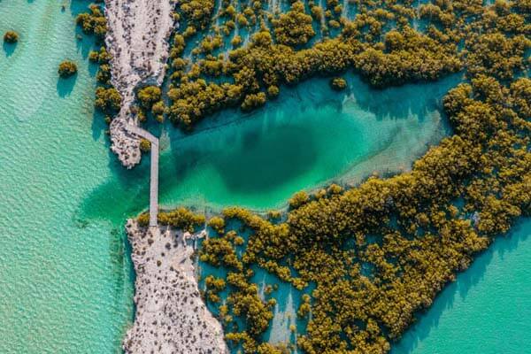 Въздушен изглед на национален парк Mangrove в Абу Даби