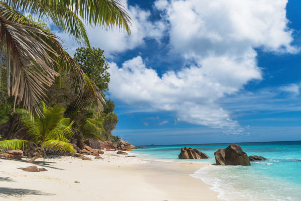 Пясъчен плаж с тюркоазена вода и палми, Anse Source d'Argent, Сейшели