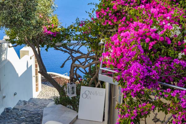 Изглед към морето в Гърция, бяла стълба и розови цветя